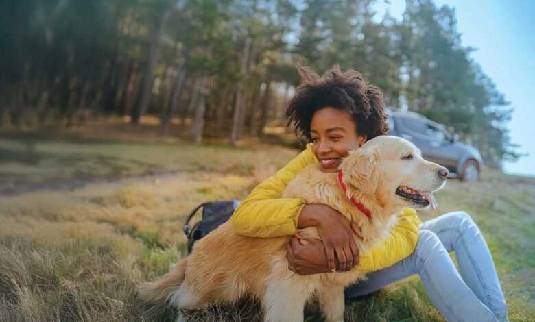 Does Pet Insurance Premium Go Up After a Wildfire Claim in 2025?"