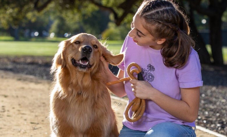 Best Pet Insurance Companies Covering Wildfire-Injured Pets in USA 2025