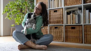 Things to Add to Your Pet Insurance After a Wildfire Proximity Alert in 2025