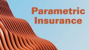Parametric Insurance: What Is It and Who Should Consider It in the USA?