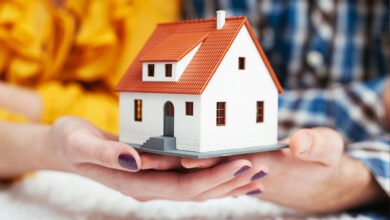 Wildfire Defense Strategies for Homeowners in USA (2025)