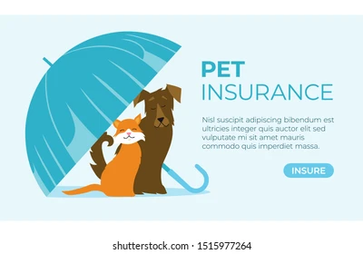 Pet Insurance