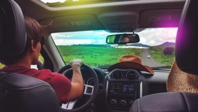 Best Car Insurance Companies for Young Drivers in 2025